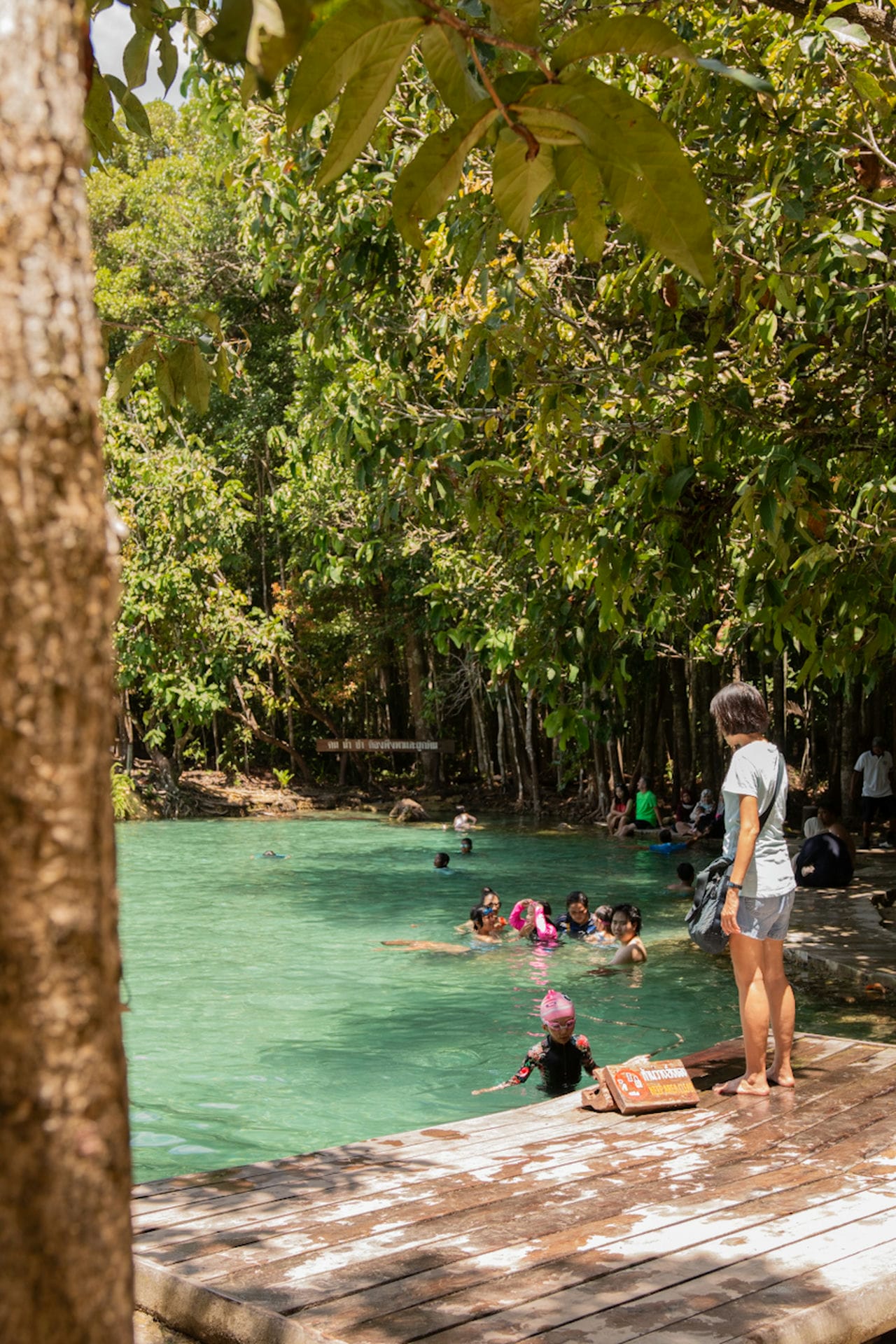 People swimming in Emerald Pool Krabi