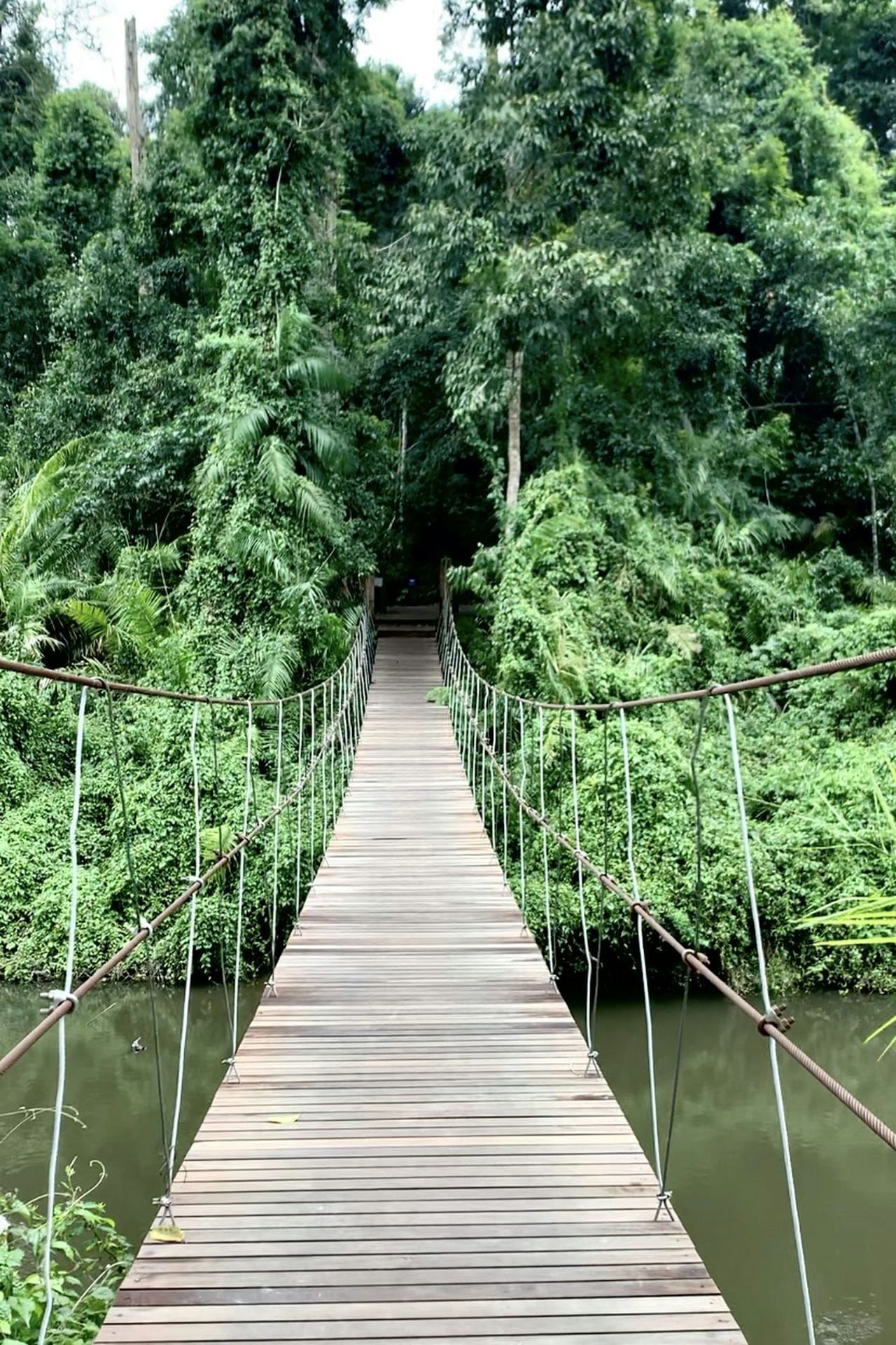 Hanging Bridge Khao Yai National Park