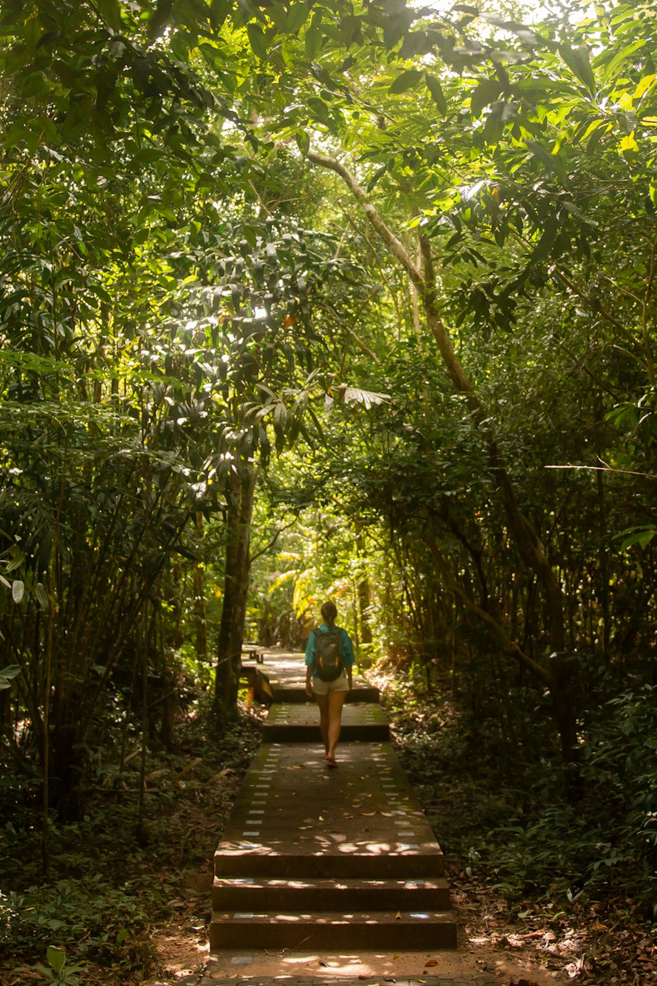 Nature trail to hotsprings