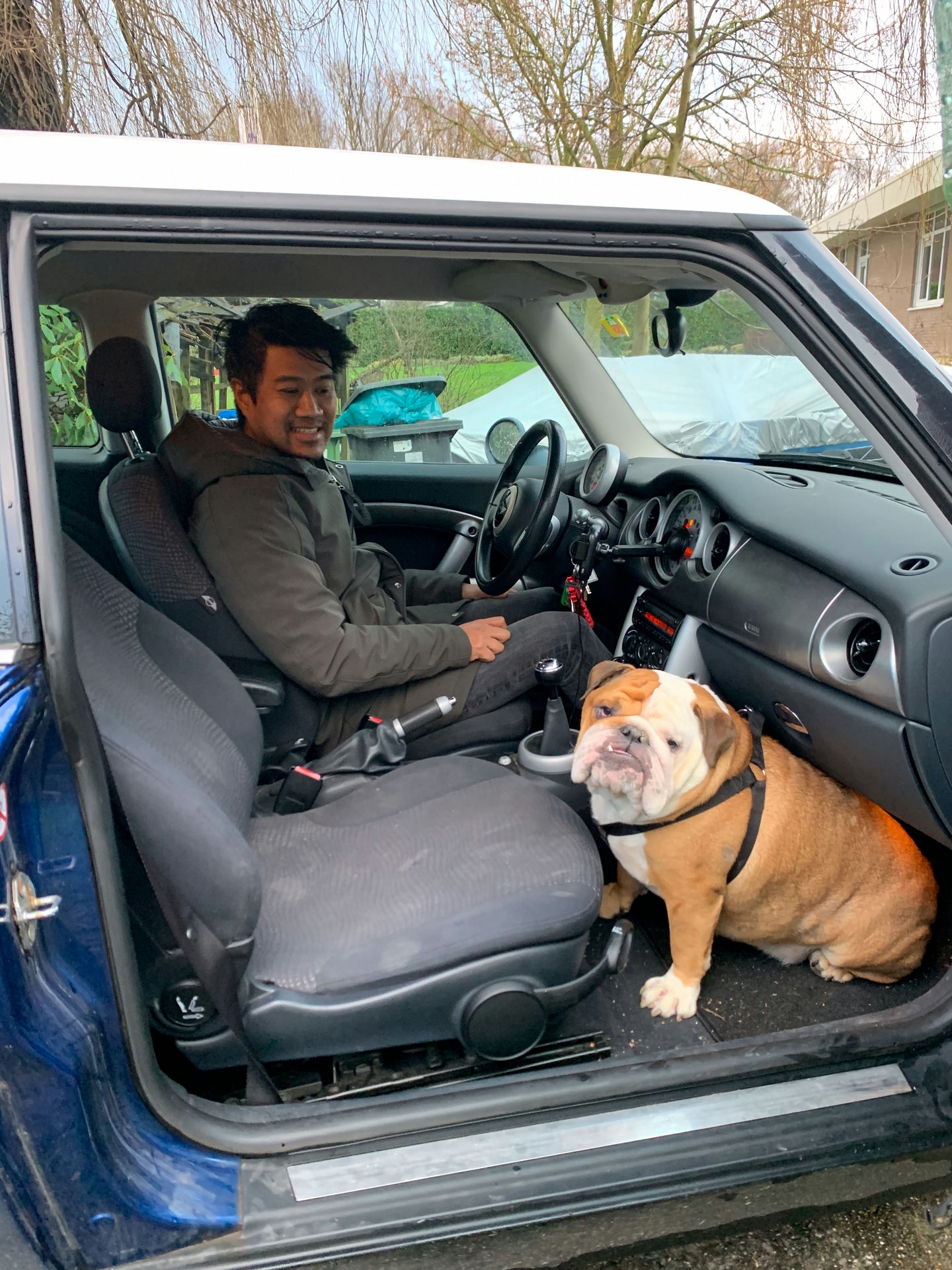 Met oppashond Diesel in de auto